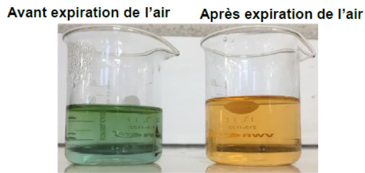 Capture géologique du dioxyde de carbone Constitution et transformations de la matière