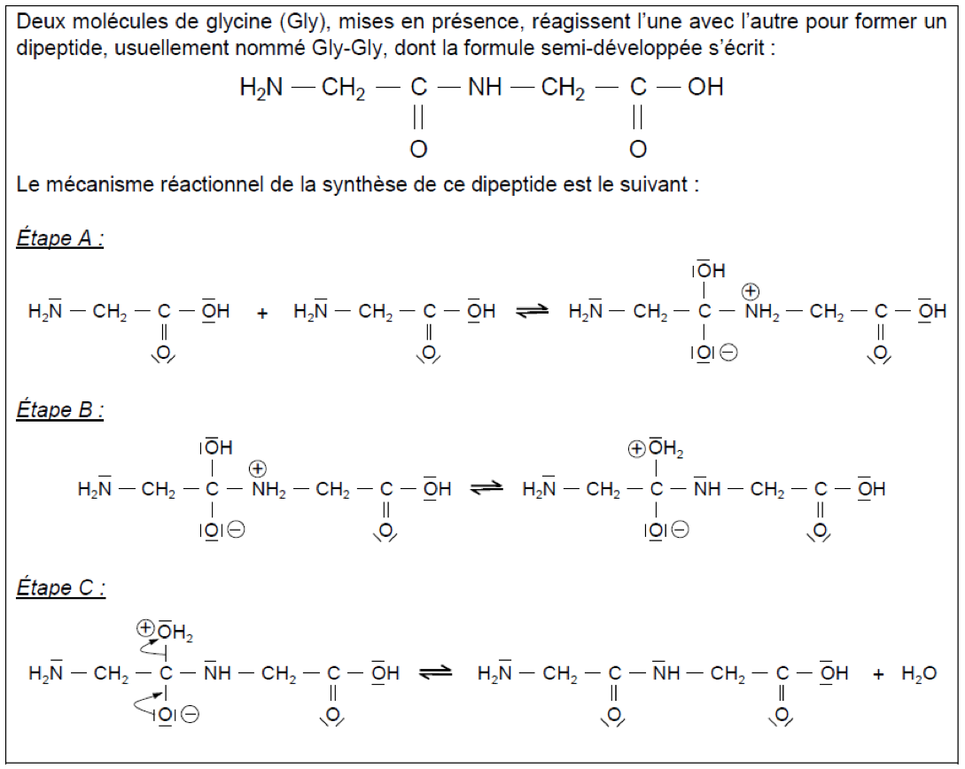 La soie d'araignée Physique - Chimie Constitution et transformations de la matière