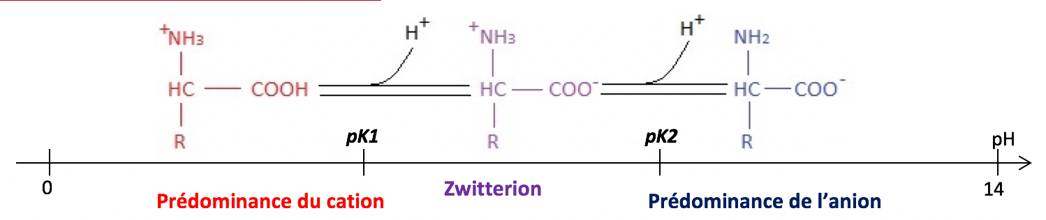 Physique - Chimie Les notions essentielles du chapitre