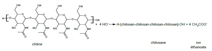 Dépolluer une eau avec des carapaces de crevettes Constitution et transformations de la matière