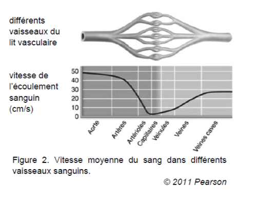 De l'effet Doppler à ses applications Ondes et signaux