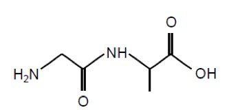 La soie d'araignée Physique - Chimie