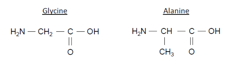 La soie d'araignée Constitution et transformations de la matière Physique - Chimie