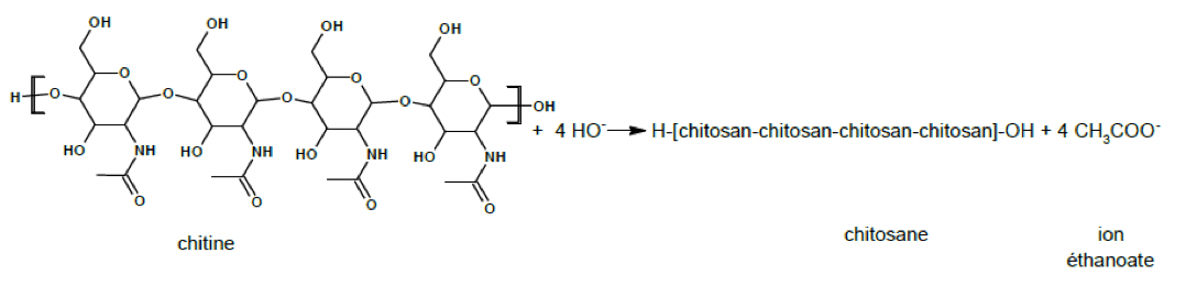 Physique - Chimie Constitution et transformations de la matière