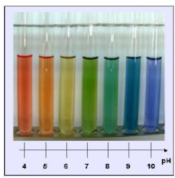 Capture géologique du dioxyde de carbone Constitution et transformations de la matière Physique - Chimie