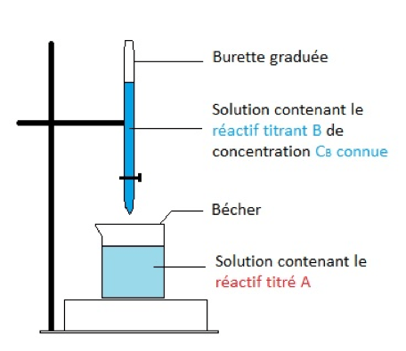 Les notions essentielles du chapitre Physique - Chimie Constitution et transformations de la matière