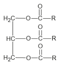 De la noix de muscade à la cosmétique Physique - Chimie Constitution et transformations de la matière