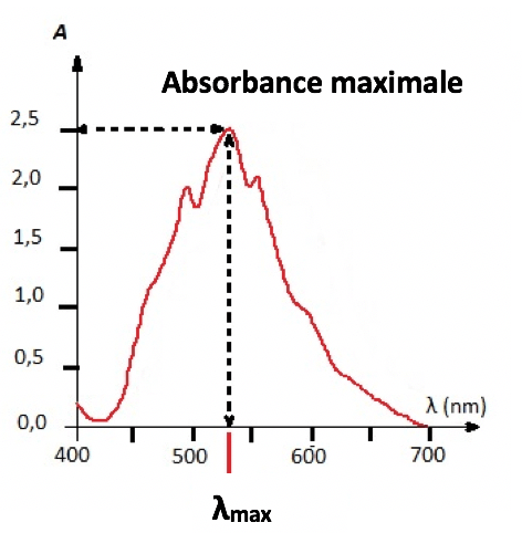 Les notions essentielles du chapitre Constitution et transformations de la matière Physique - Chimie