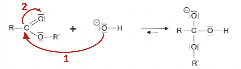 Physique - Chimie Constitution et transformations de la matière De la noix de muscade à la cosmétique