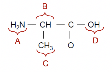 Constitution et transformations de la matière Physique - Chimie