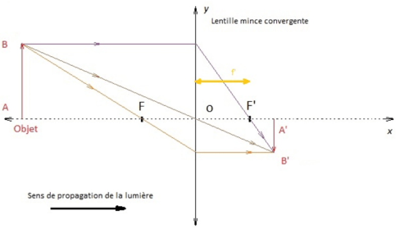 Ondes et signaux Physique - Chimie Les notions essentielles du chapitre