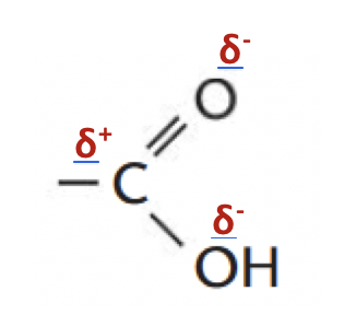 Physique - Chimie La soie d'araignée