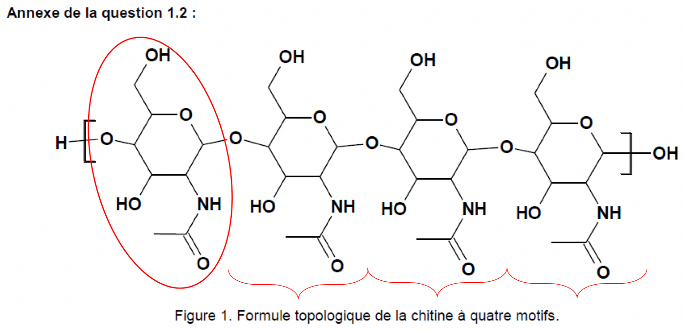 Constitution et transformations de la matière Physique - Chimie