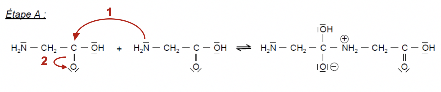 Physique - Chimie Constitution et transformations de la matière La soie d'araignée